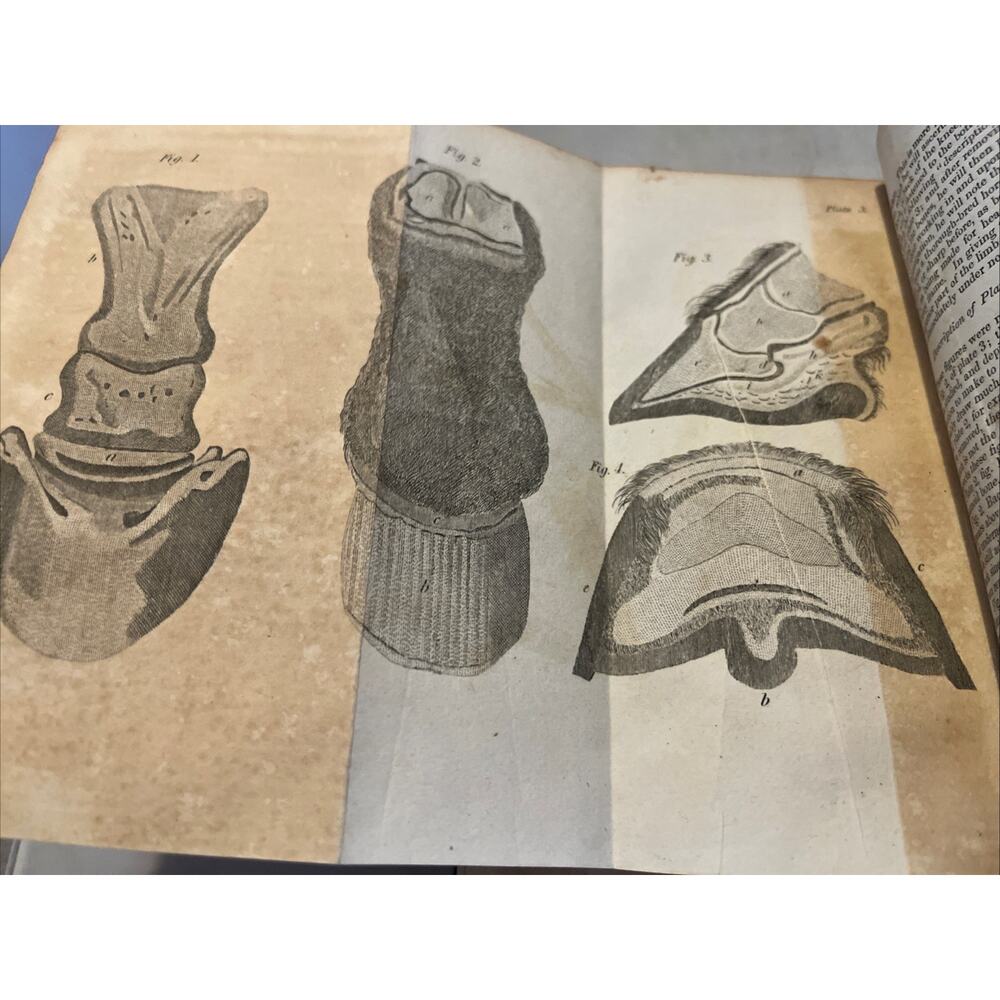 1834 Veterinary Surgeon: Or, Farriery Taught On a New and Easy Plan 4 Fold Outs - Picture 8 of 9